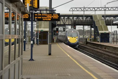 DSC_1250 (Large).JPG